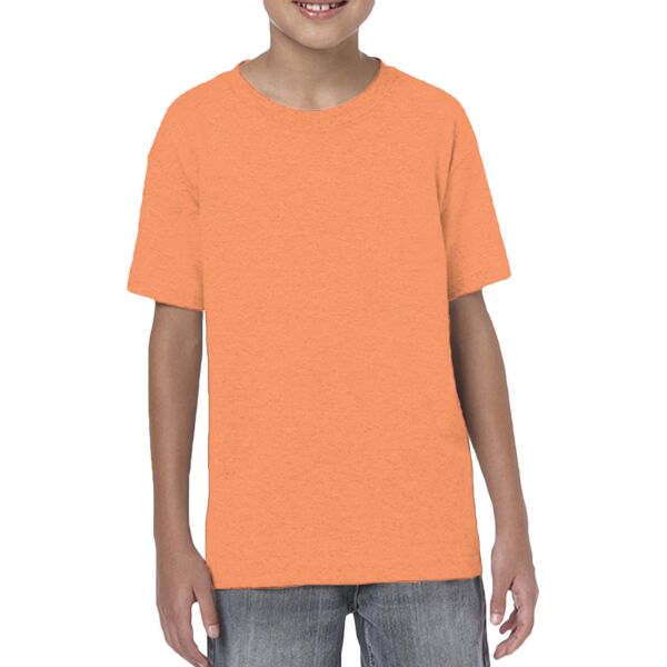 SoftStyle Youth Short Sleeve T-Shirt Thumbnail