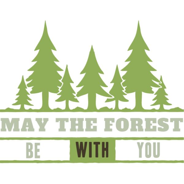 May The Forest Be With You Thumbnail